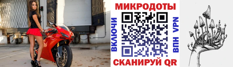 Псилоцибиновые грибы GOLDEN TEACHER Бежецк
